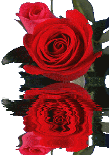 c mon cadeau pour vous